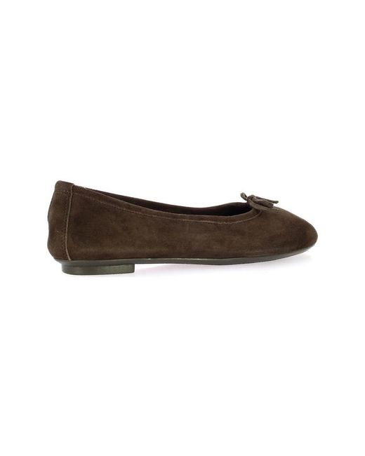 Ballerines Ballerines Harmony Cuir Velours Reqins en coloris Gray