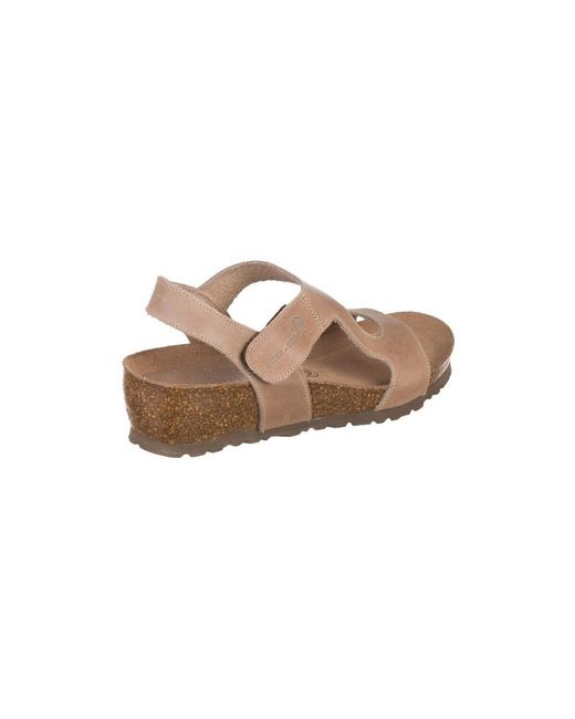 Sandales Compensées Baskets 5316 Interbios en coloris Brown