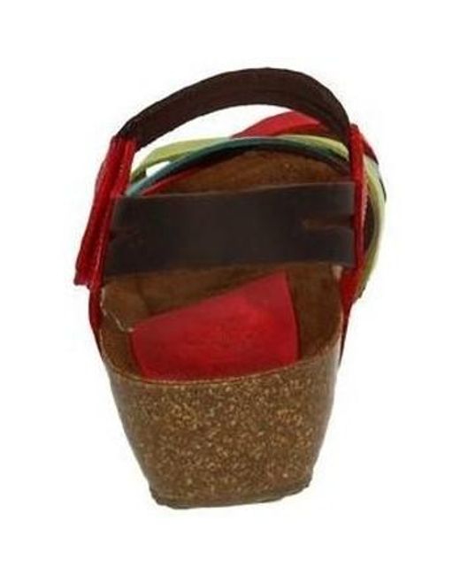 Sandales compensées Interbios en coloris Red