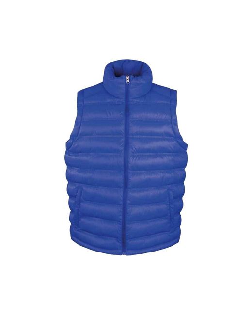 Blouson Ice Bird Result Headwear pour homme en coloris Blue