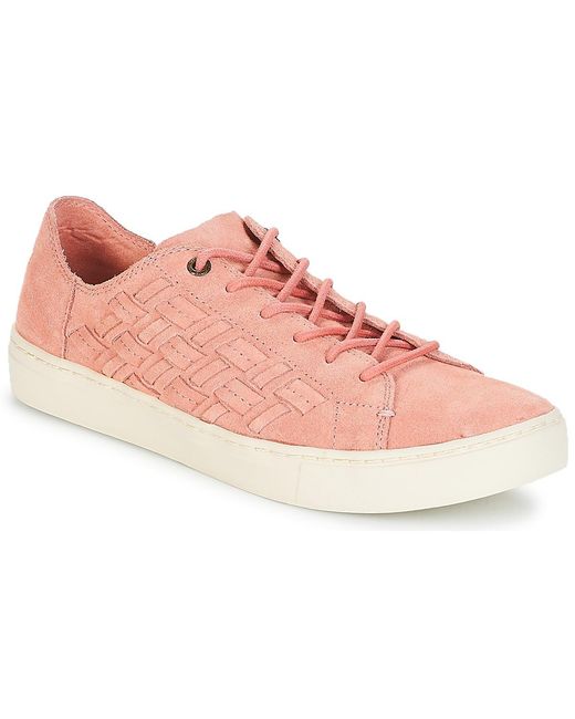 TOMS Pink Sneaker LENOX