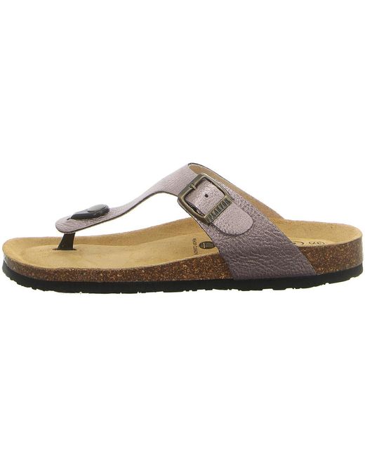 Sabots Plakton en coloris Brown