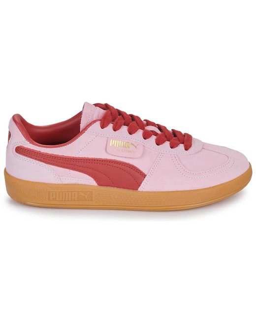Baskets basses Palermo PUMA en coloris Pink