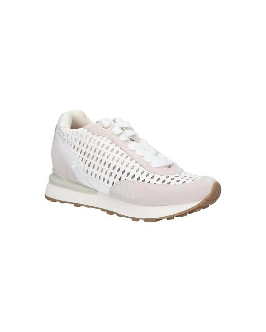Chaussures 74064-HIGHGATE Gioseppo en coloris White