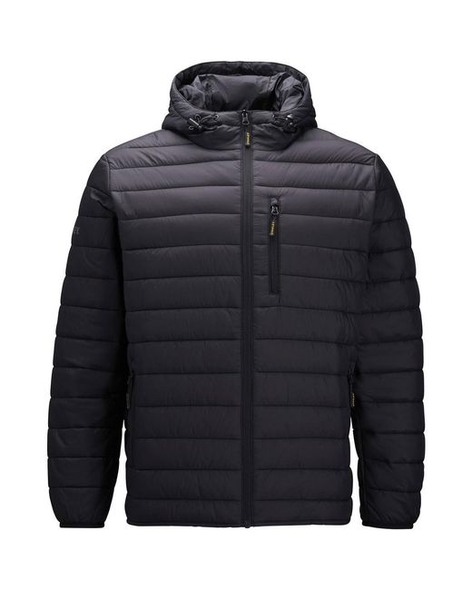 Doudounes Westby Stanley pour homme en coloris Blue
