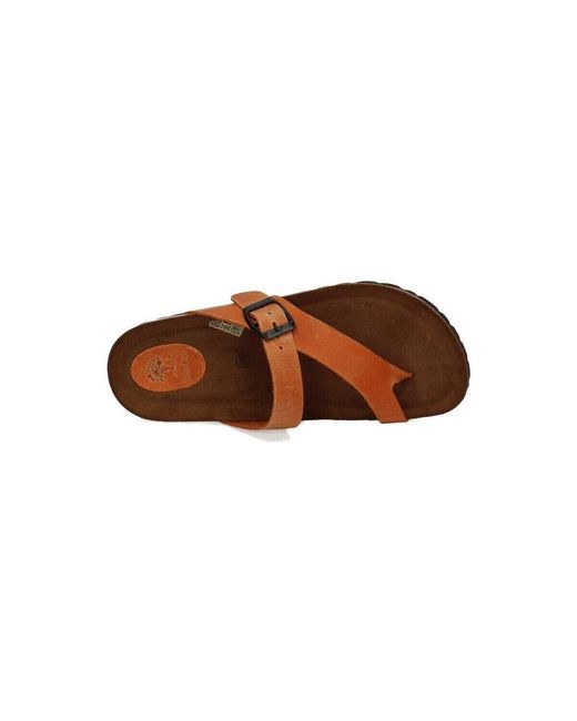 Sandales plates Interbios en coloris Brown