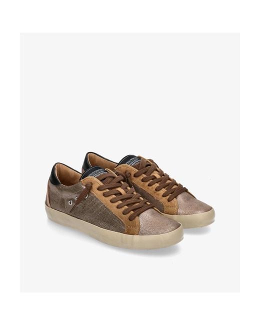 Baskets M5503 Corina en coloris Brown