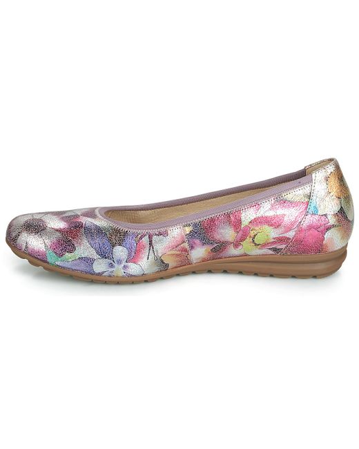 Malteo Women's Shoes (pumps Ballerinas) In Purple Malteo Women's Shoes (pumps Ballerinas) In Purple