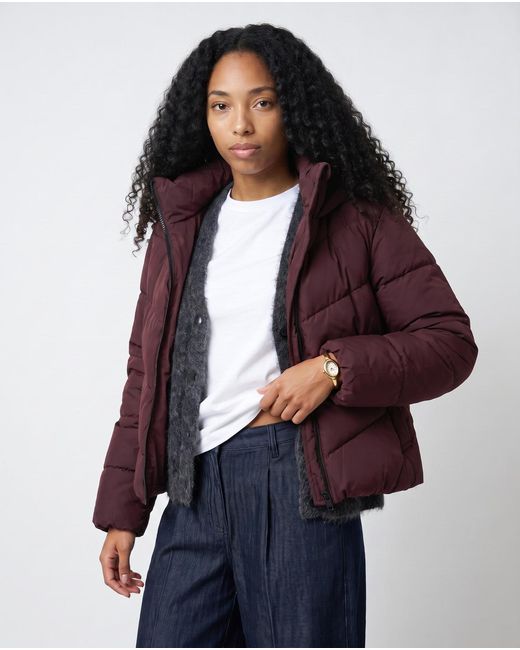 ONLY Donsjas Onlclair Puffer Hood Jacket in het Purple