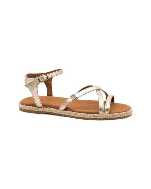 Baskets Ms18601-103 POPA en coloris Brown