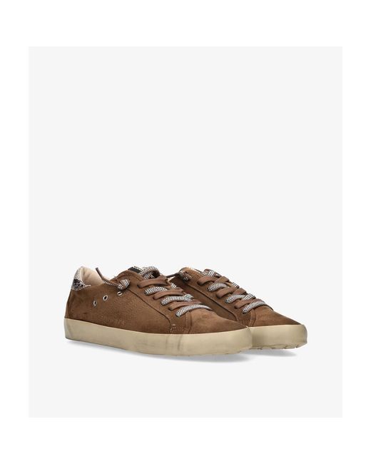 Baskets M6501 Corina en coloris Brown