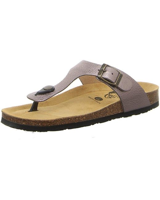 Sabots Plakton en coloris Brown