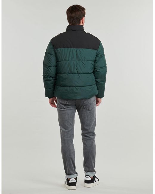 Jack & Jones Donsjas Jjmoon in het Green voor heren