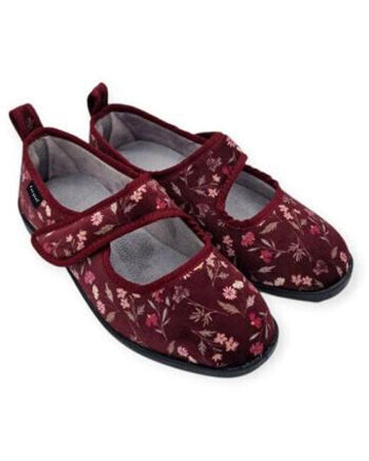 FARGEOT Granit - Chaussures Bourgeois : le spécialiste des grandes FARGEOT Granit - Chaussures Bourgeois : le spécialiste des grandes