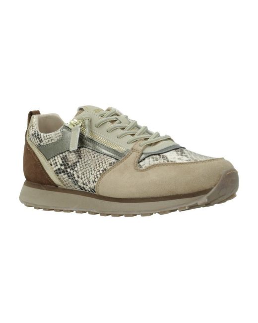 Baskets 60055M MTNG en coloris Gray