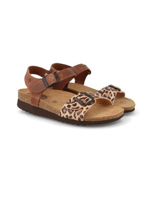 Sandales Interbios en coloris Brown