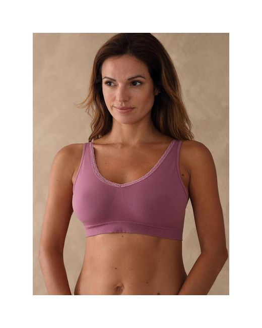 Triangles / Sans armatures by - Lot 2 brassières + 1 gratuite dentelle Daxon en coloris Purple
