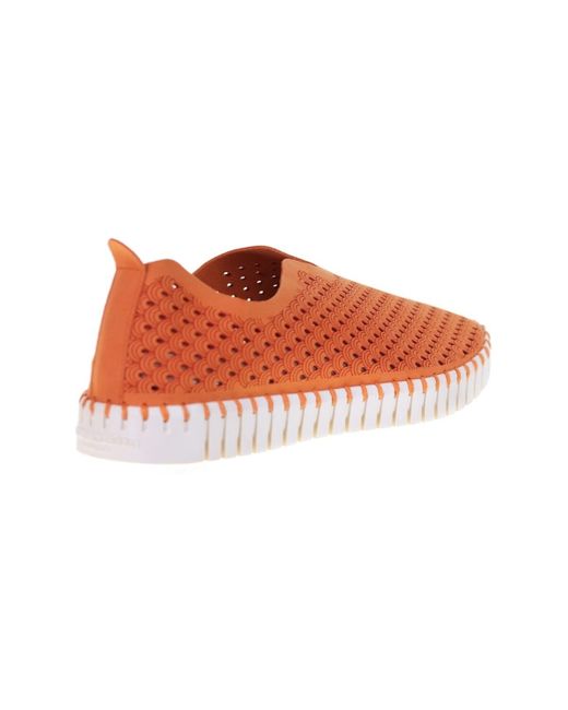 Derbies TULIP 3275 Ilse Jacobsen en coloris Red