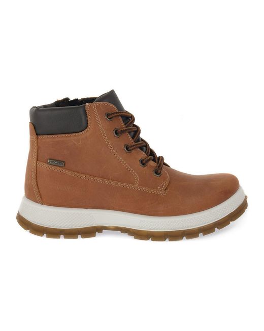 Bottines SCIROK SENAPE Imac en coloris Brown