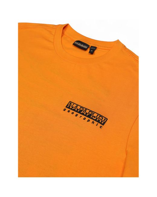 Napapijri Polo Shirt Lange Mouw S-Vignoni Back Ss Np0A4Ilx in het Orange voor heren