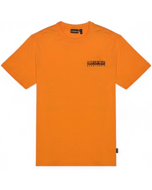 Napapijri Polo Shirt Lange Mouw S-Vignoni Back Ss Np0A4Ilx in het Orange voor heren