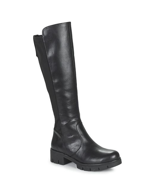 Stivali 170184 di Refresh in Black