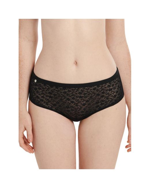 Lisca Shorts Shorty Smooth Cheek in het Gray