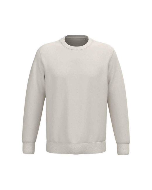 Sweat-shirt PC7879 NATIVE SPIRIT en coloris Gray