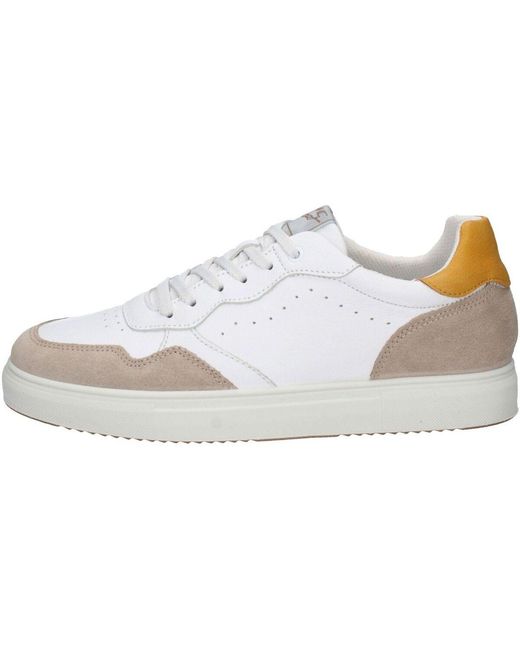 Baskets basses Imac pour homme en coloris White