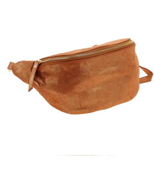 Sac BITAM sac banane xl irisé en cuir Dupond Durand en coloris Brown