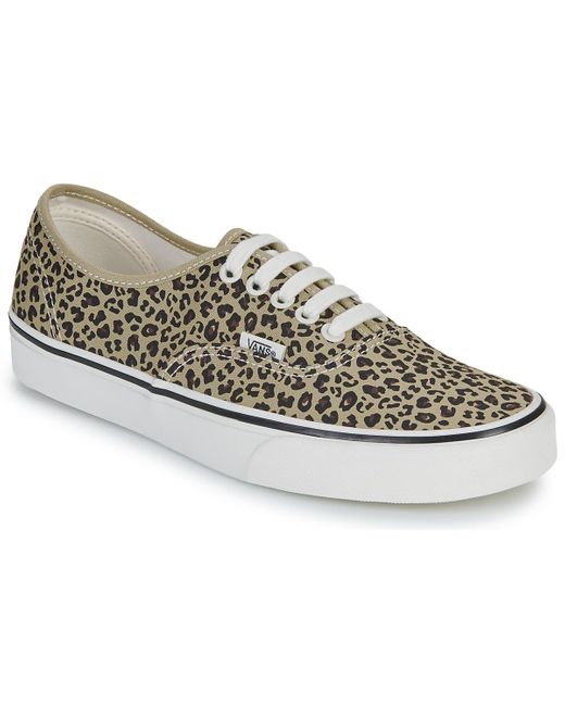 Vans Gray Sneaker Authentic