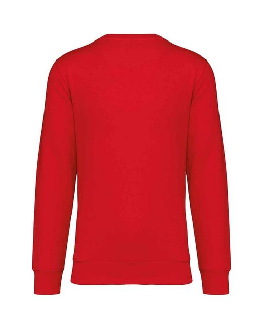 Sweat-shirt PC5129 NATIVE SPIRIT pour homme en coloris Red