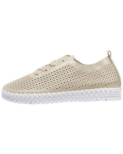 Baskets Basses Argumento Limma en coloris White
