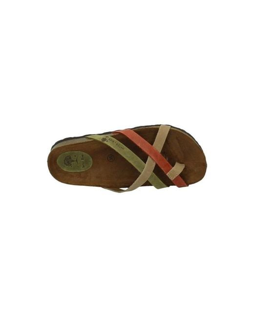 Sandales plates Interbios en coloris Brown