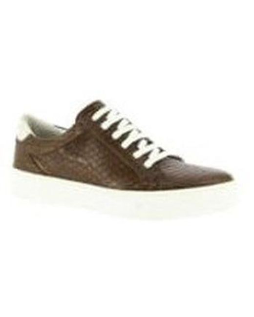 Baskets Lucie, Derbies Kickers en coloris Brown