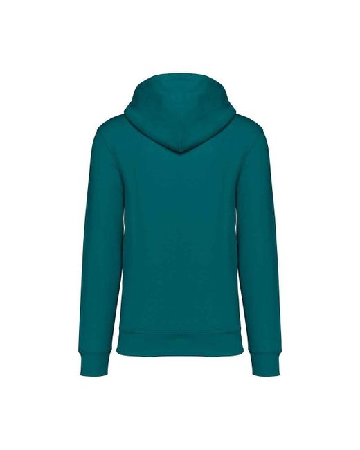 Sweat-shirt PC5121 NATIVE SPIRIT pour homme en coloris Green