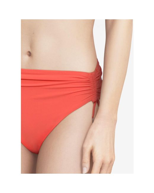 culotte corail