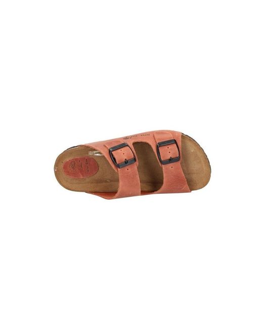 Mules Interbios en coloris Brown