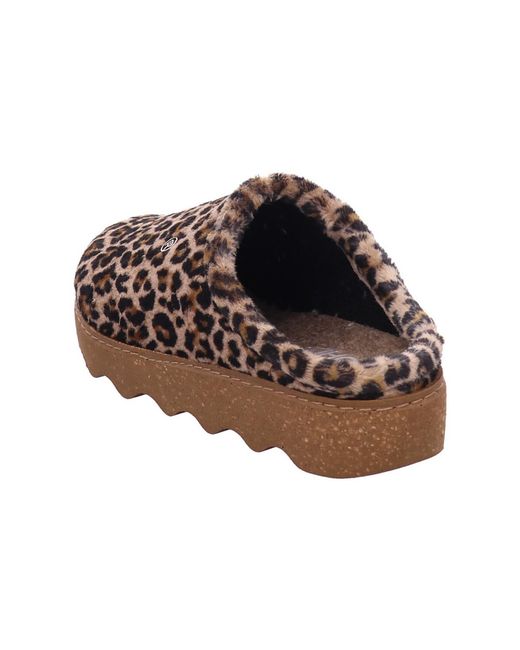 Chaussons Rohde en coloris Brown