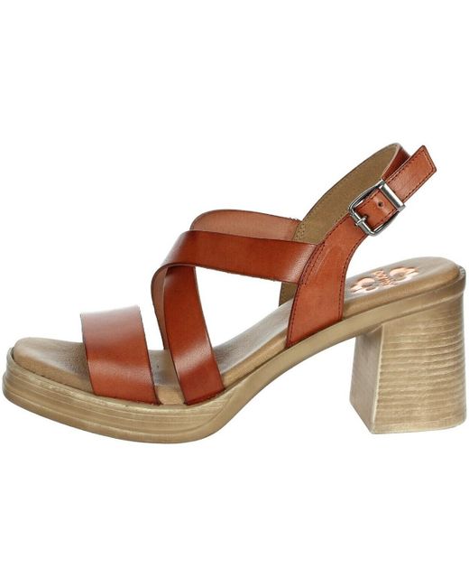 Porronet Sandalen Fi2975 in het Brown