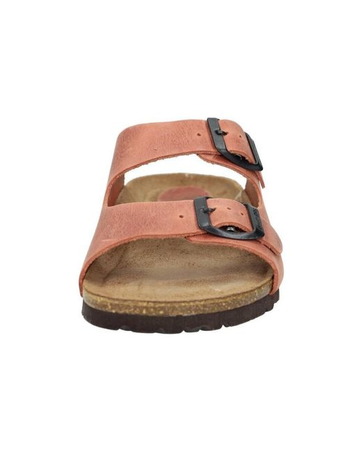 Mules Interbios en coloris Brown