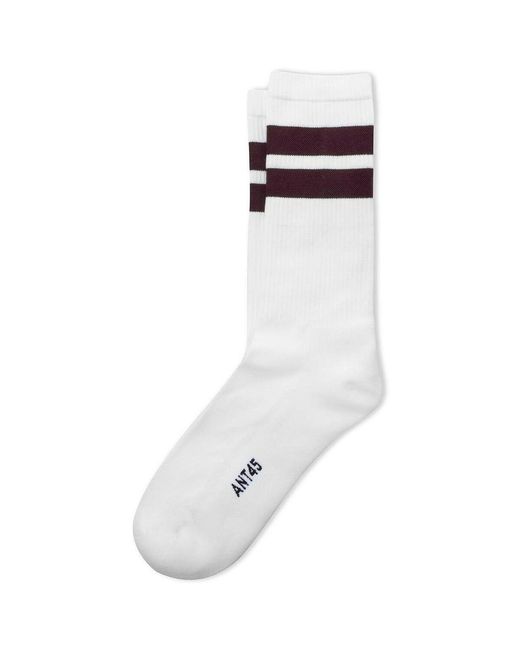 Chaussettes bernera-r01 ANT45 pour homme en coloris White