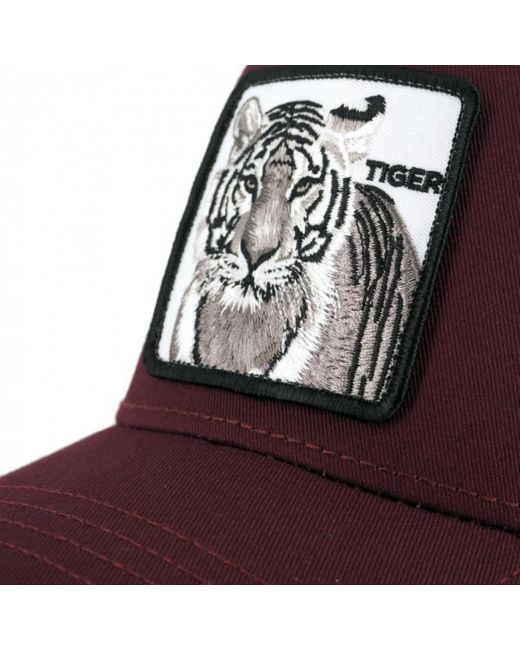 Chapeau The White Tiger Goorin Bros pour homme en coloris Purple