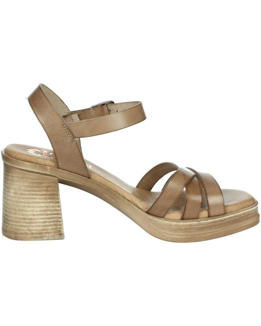Porronet Sandalen Fi2976 in het Brown