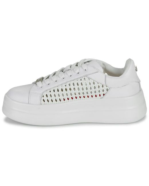 Baskets basses SWIFT Dorking en coloris Gray