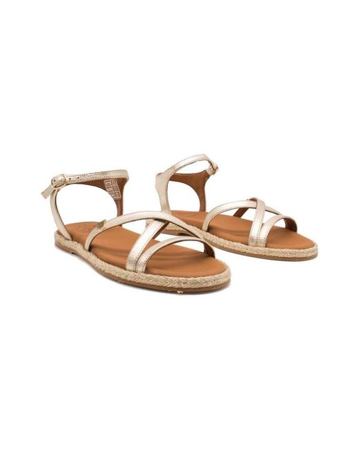 Baskets Ms18601-103 POPA en coloris Brown