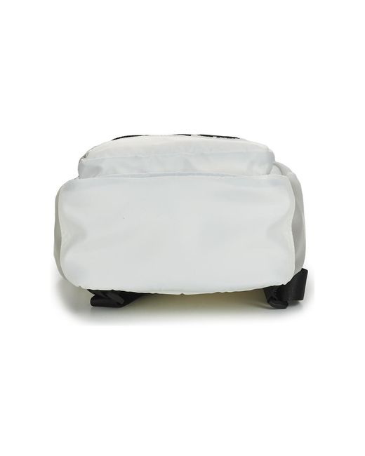 Converse Gray Rucksack Clear Go Lo Backpack
