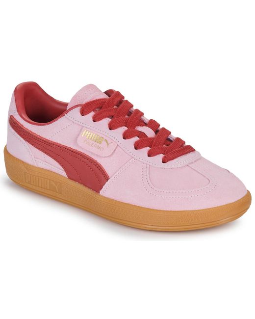 Baskets basses Palermo PUMA en coloris Pink
