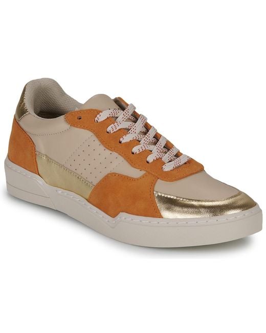 Fericelli Brown Sneaker Dame