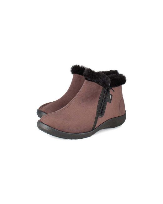 Bottines dynamo Fargeot en coloris Brown